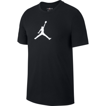 jordan sportswear iconic jumpman